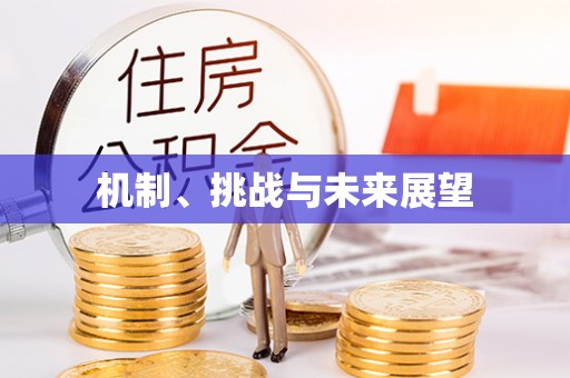 万州机制、挑战与未来展望